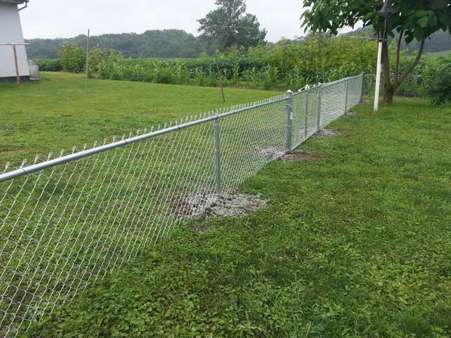 Chain Link Fence